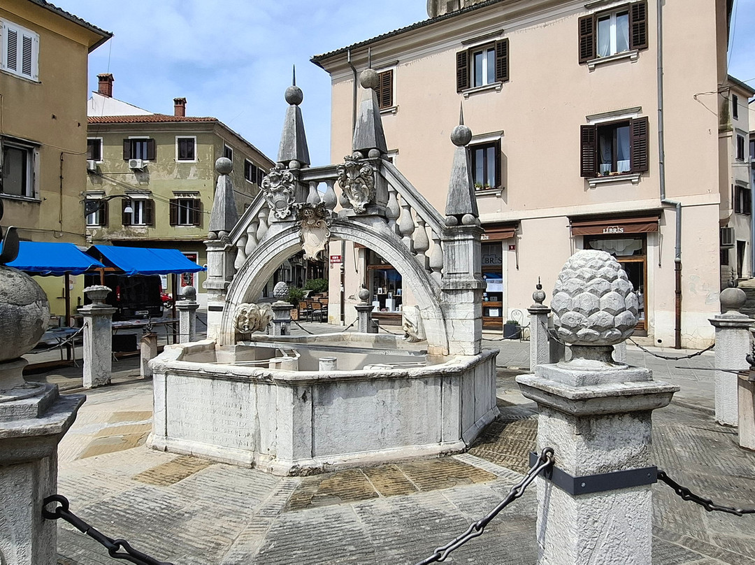 Da Ponte Fountain-科佩尔必去景点