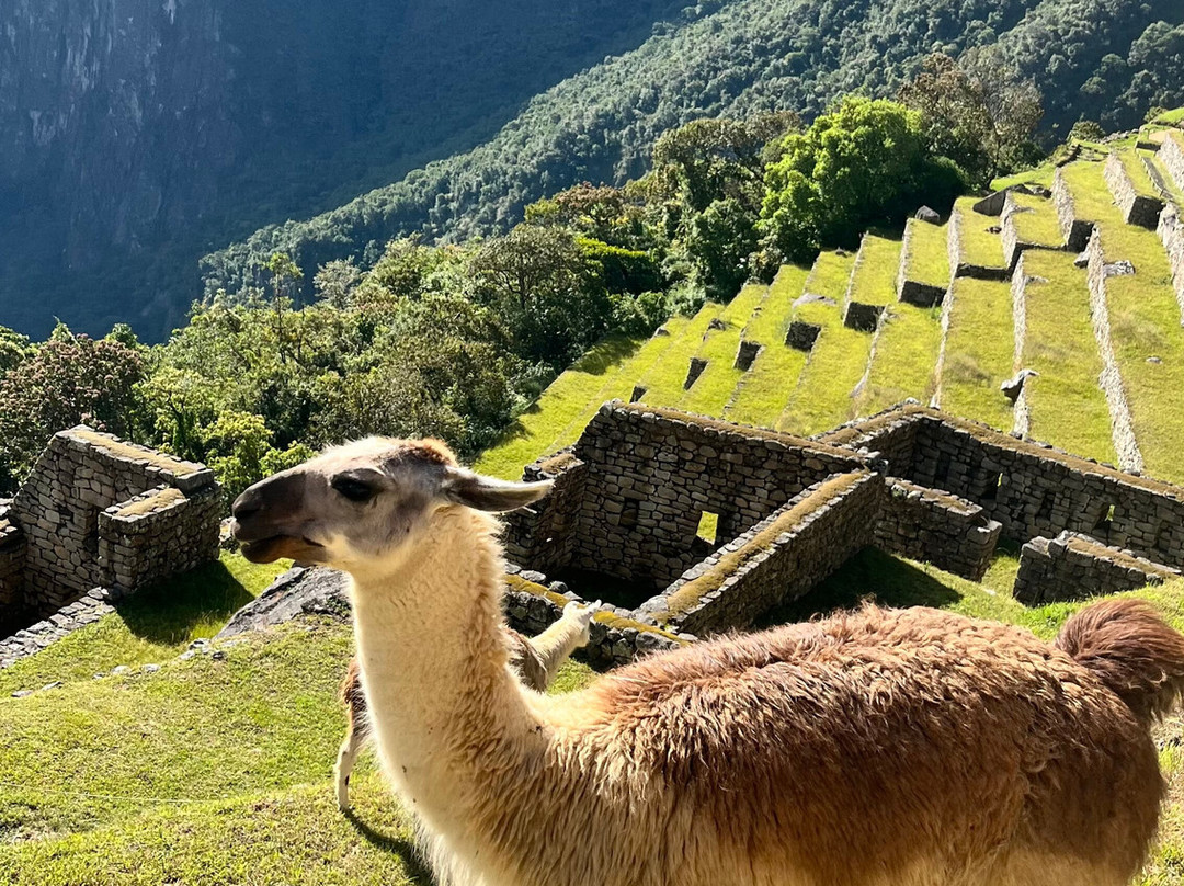 Orange Nation Peru-库斯科必去景点