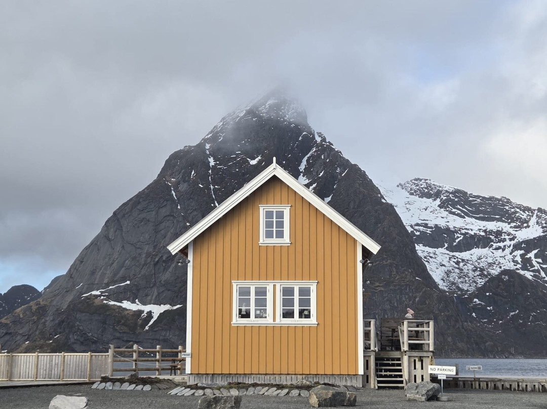 Sakrisøya-雷讷必去景点