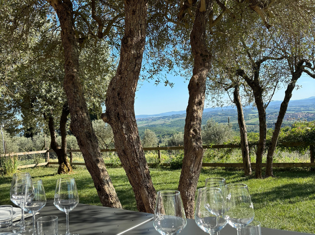 Bindi Sergardi Estates & Vineyards-Vagliagli必去景点