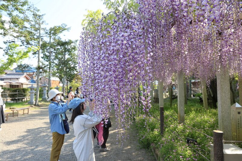 Sandai Shrine-草津市必去景点
