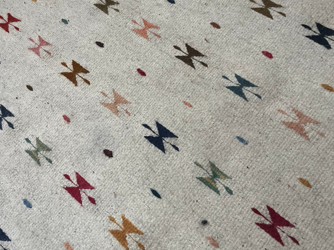 Isaac Vásquez Studio by The bug in The Rug-Teotitlan del Valle必去景点