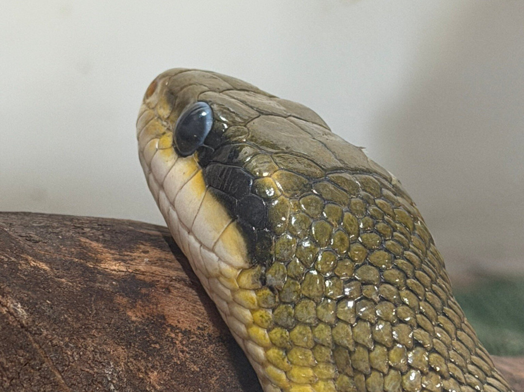Hopefield Animal Sanctuary & Visitor Centre-布伦特伍德必去景点
