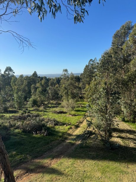 Cerro Mistico Hotel y Ecoparque-旅行者