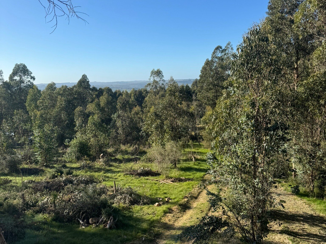 Cerro Mistico Hotel y Ecoparque主图