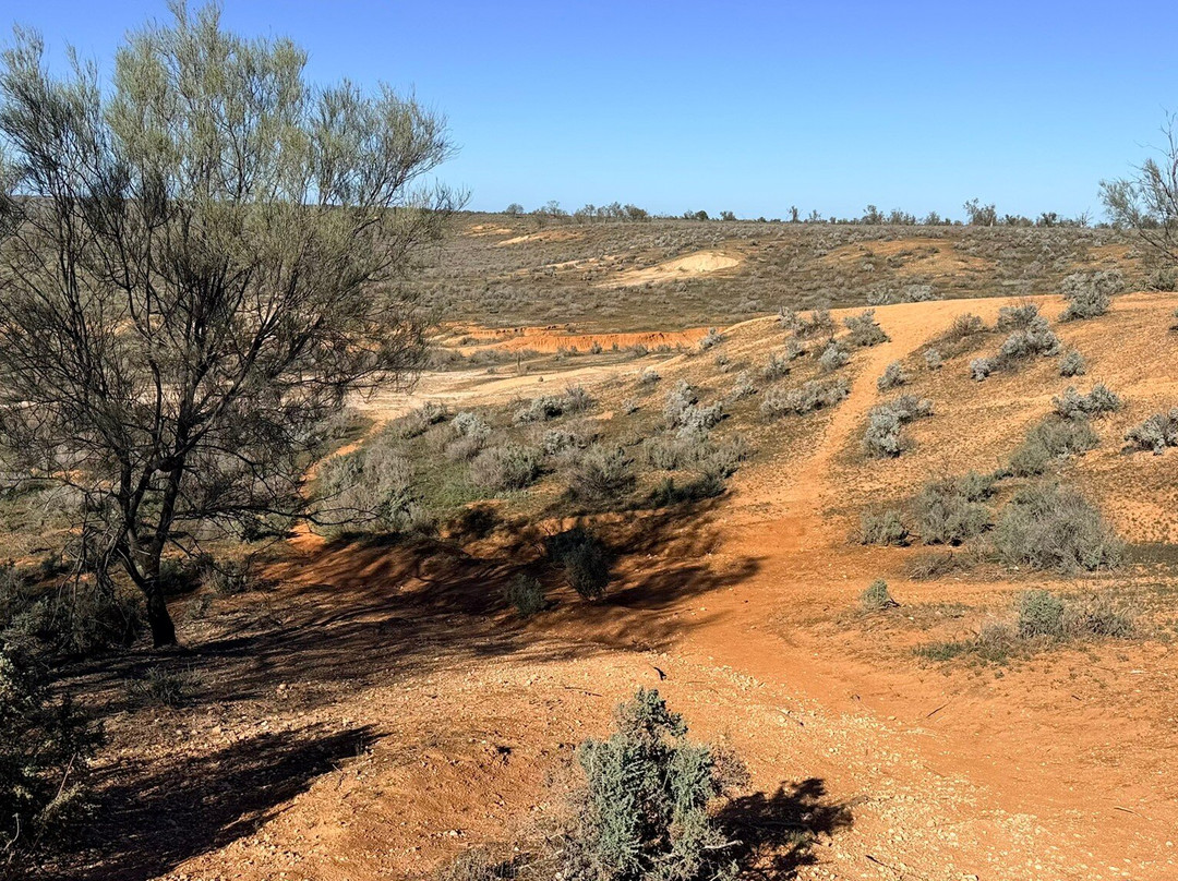 Discover Mildura - Day Tours-米尔杜拉必去景点