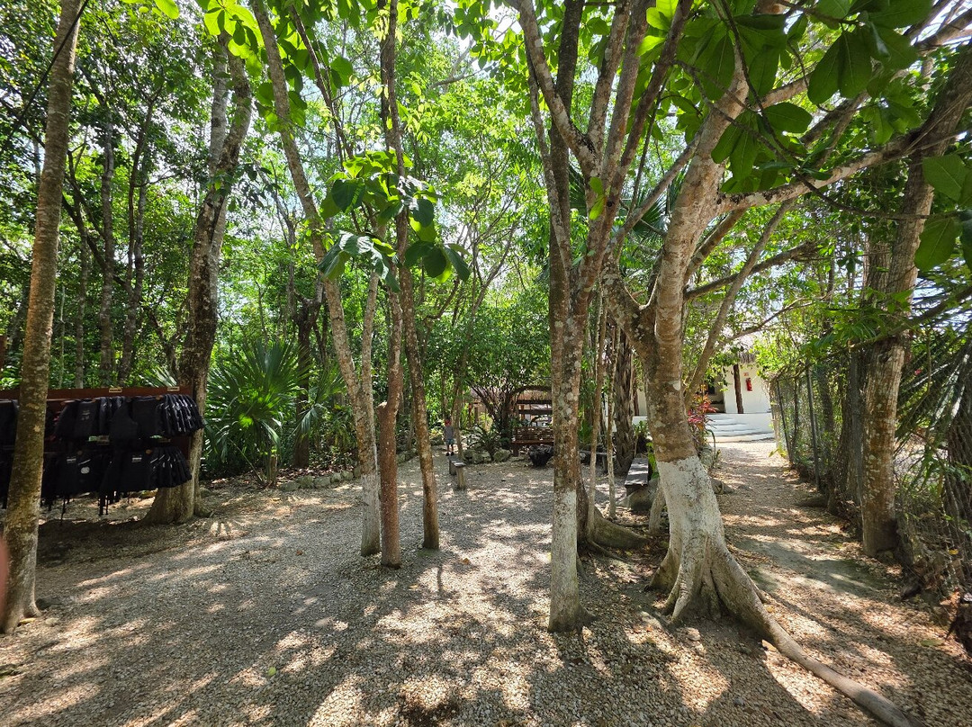 Cenote Chaak Tun-普拉亚德尔卡曼必去景点