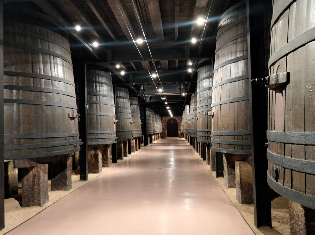Bodegas Franco Espanolas-洛格罗尼奥必去景点