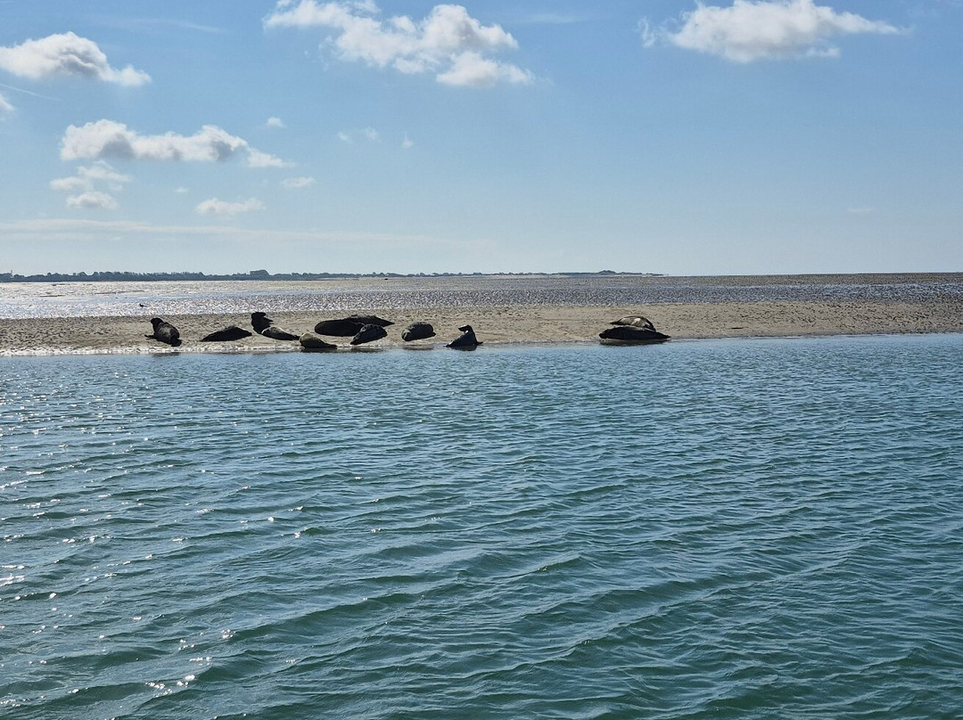 Chichester Harbour Water Tours-West Itchenor必去景点