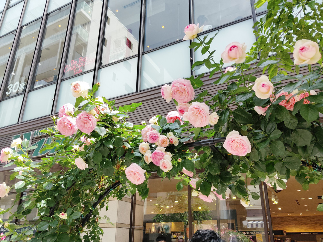 Yokohama Motomachi Shopping Street-横滨市必去景点
