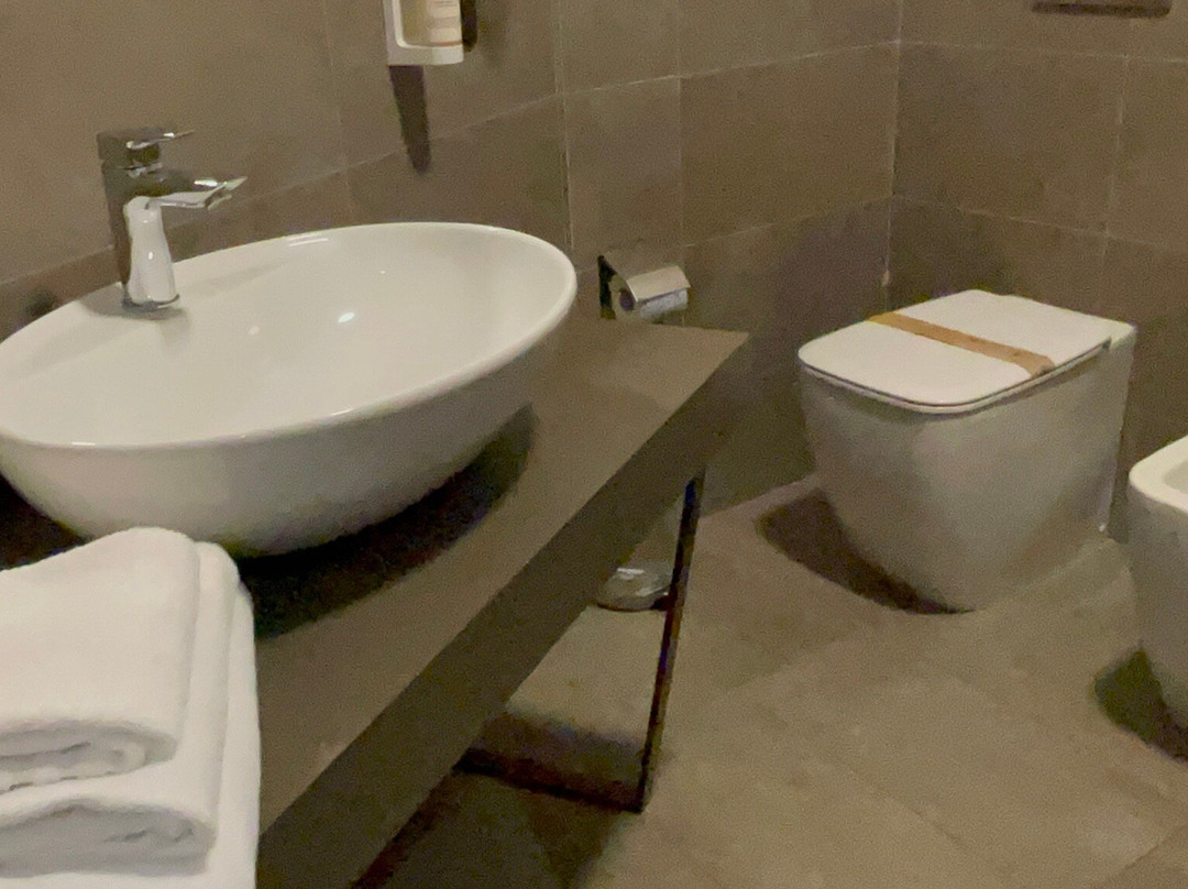 Hotel Sirio, Sure Hotel Collection by Best Western主图