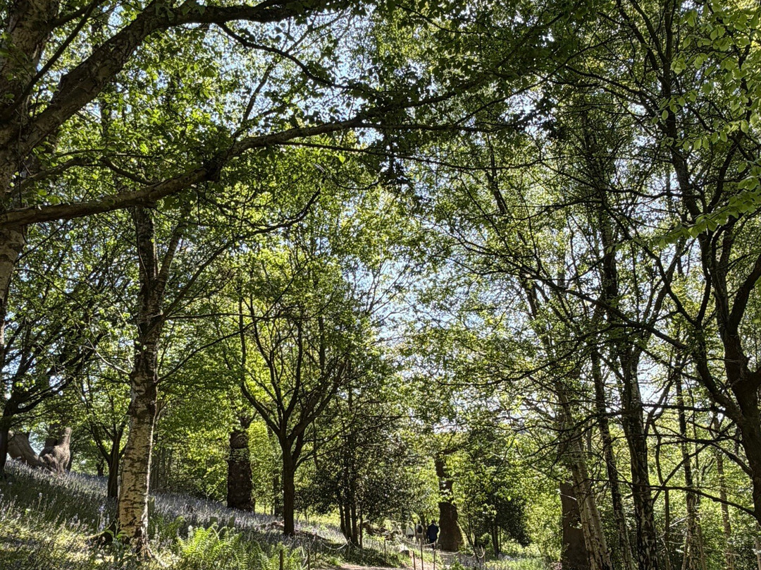 Emmetts Garden-Sevenoaks必去景点
