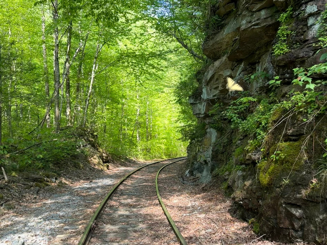 Rail Explorers: Elk River Division-Clay必去景点