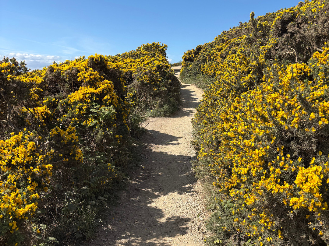 Howth Summit-霍斯必去景点