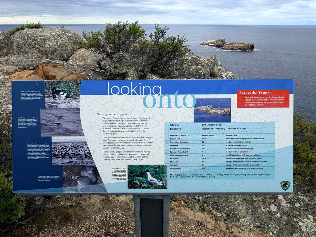 Cape Tourville Lighthouse-菲欣纳国家公园必去景点