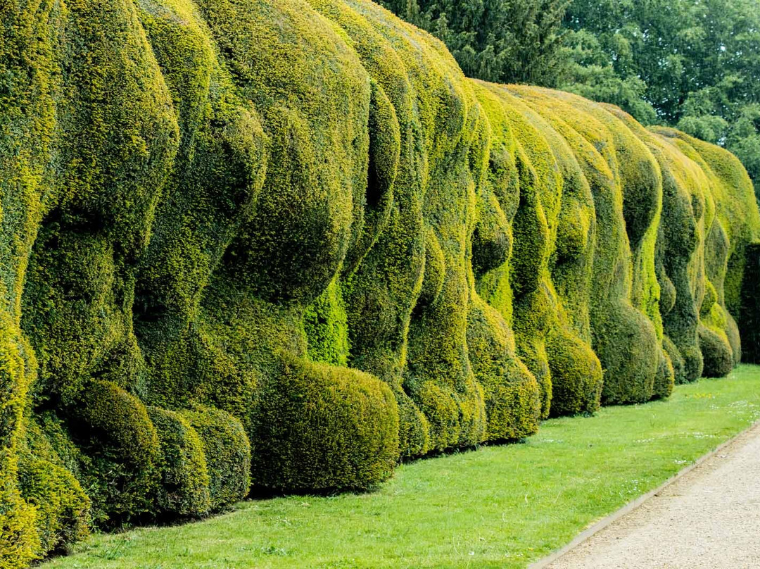 Montacute House-Montacute必去景点
