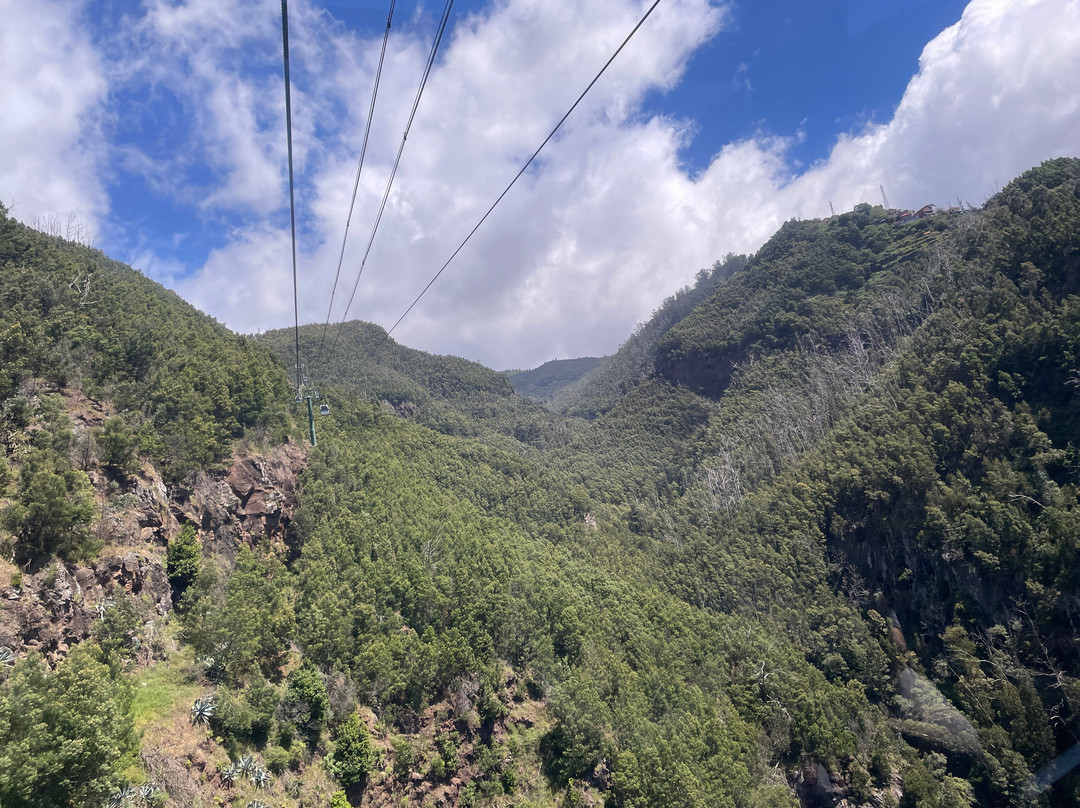 Botanical Garden Cable Car-沙尔必去景点