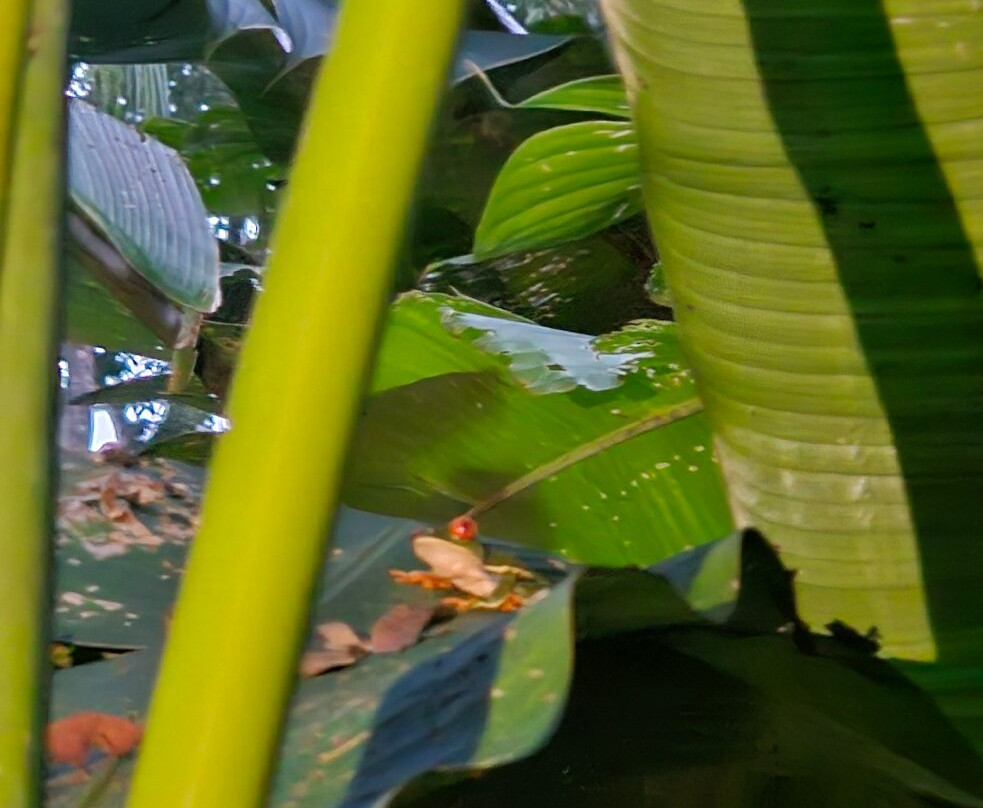 拉古纳小屋全膳主图