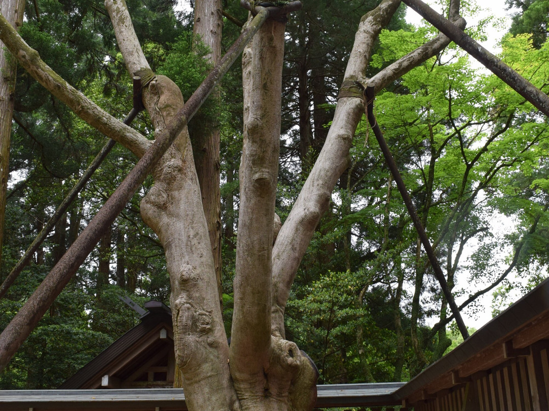 Amano Iwato Shrine-高千穗町必去景点