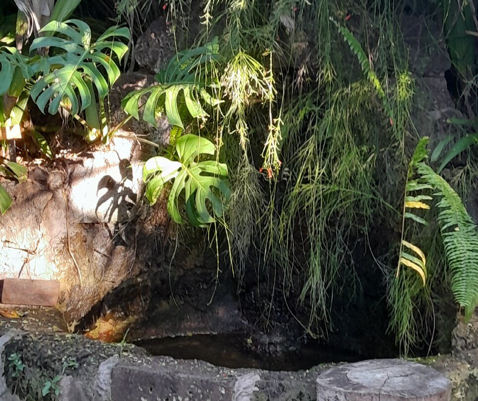 Jardin d'Eden-圣吉尔莱班必去景点