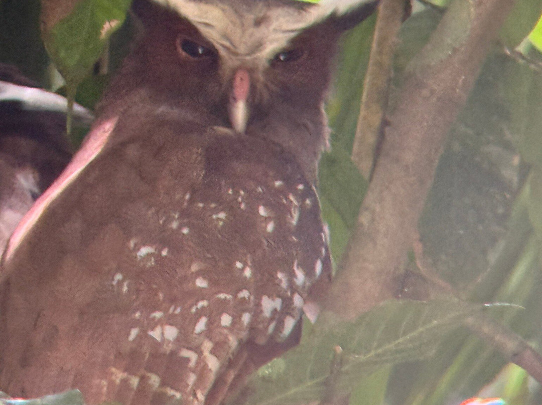 Napo Wildlife Center Ecolodge主图