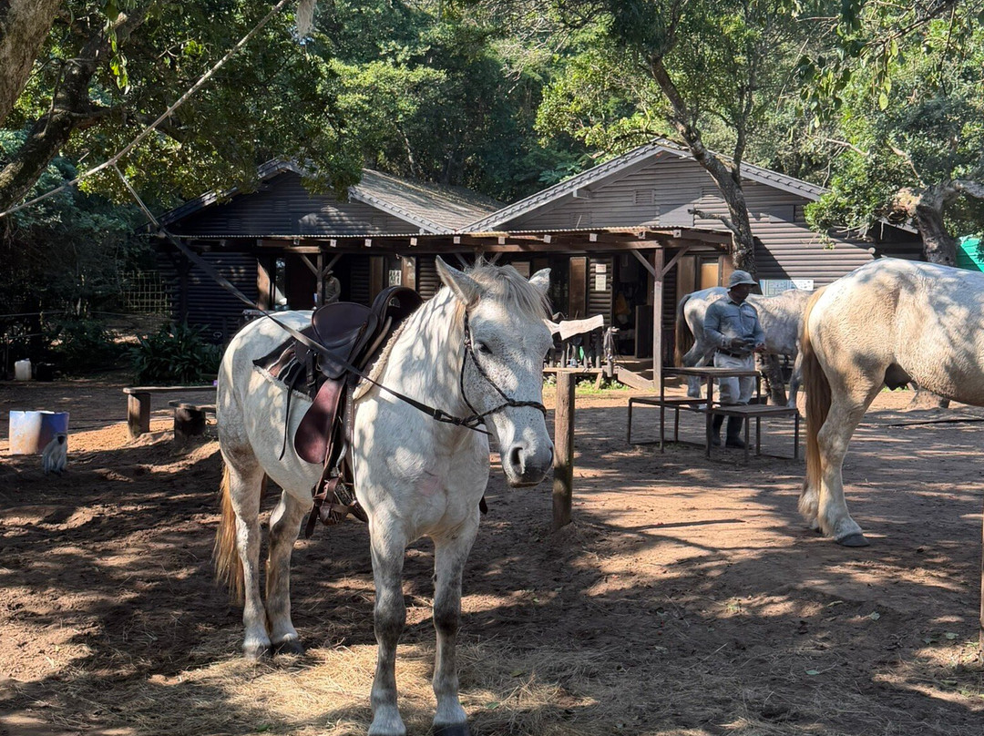 Bhangazi Horse Safaris-圣露西亚必去景点