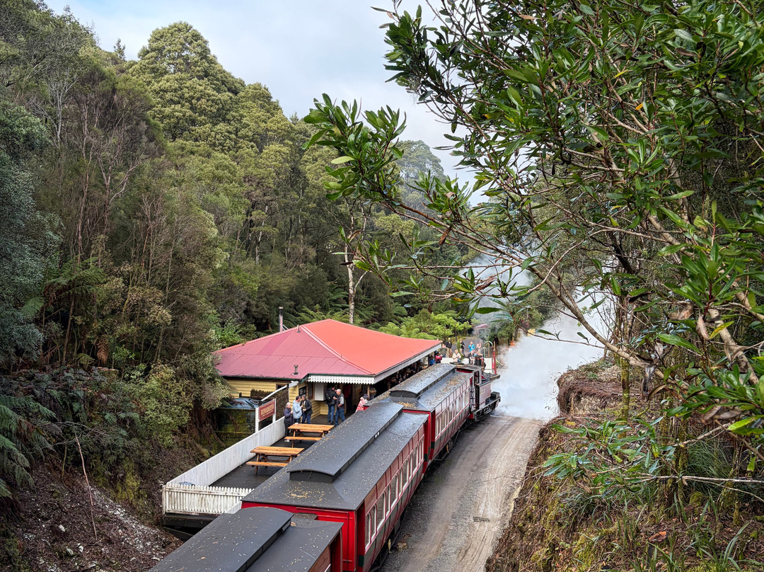 West Coast Wilderness Railway-皇后镇必去景点