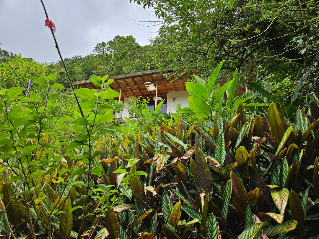 Cloudbridge Nature Reserve-San Gerardo De Rivas必去景点