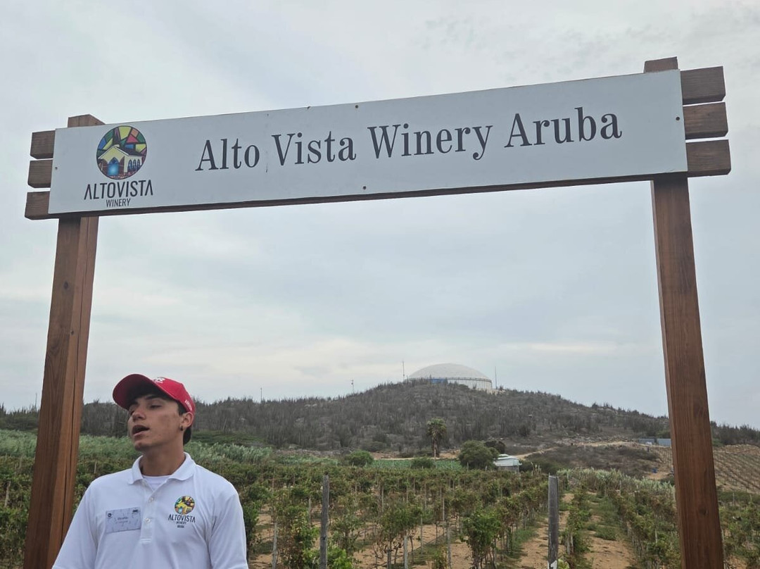 Alto Vista Winery-Noord必去景点