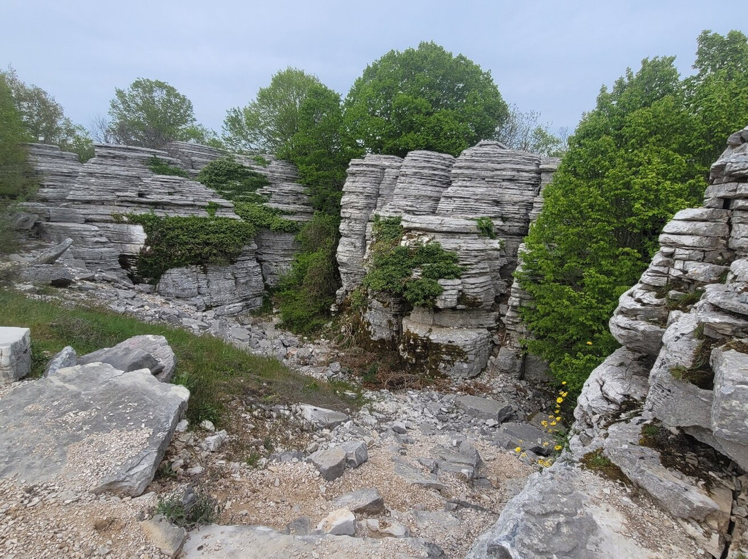 Stone Forest-Monodendri必去景点