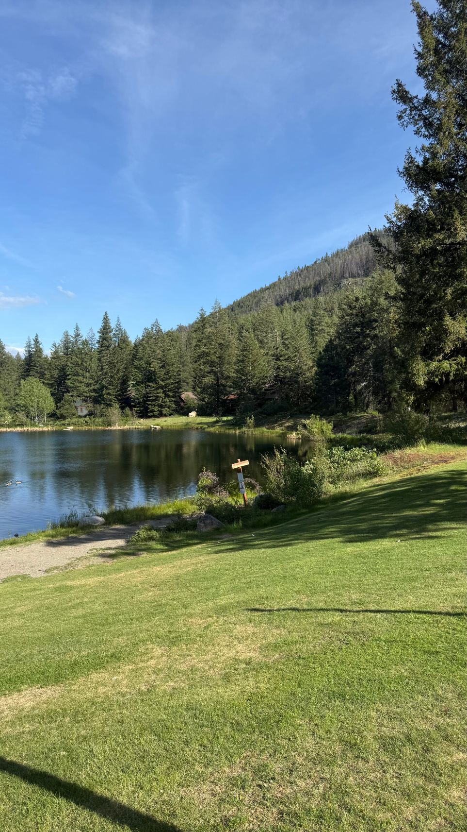 Freestone Inn & Cabins-旅行者
