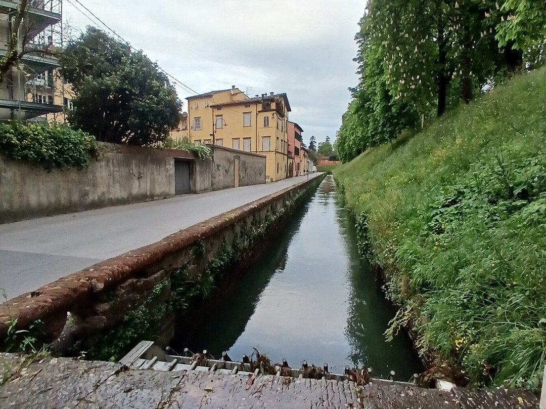 Via del Fosso di Lucca-卢卡必去景点