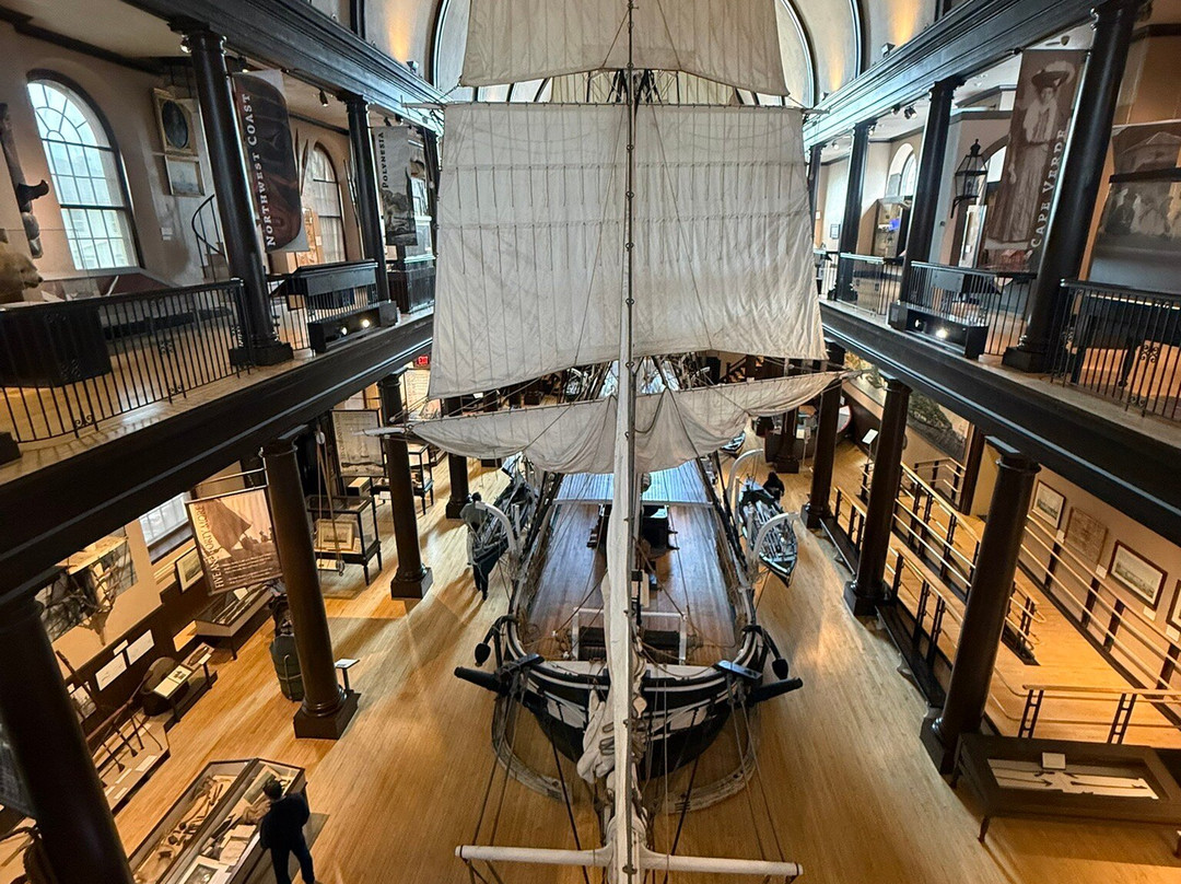 New Bedford Whaling Museum-新贝德福德必去景点