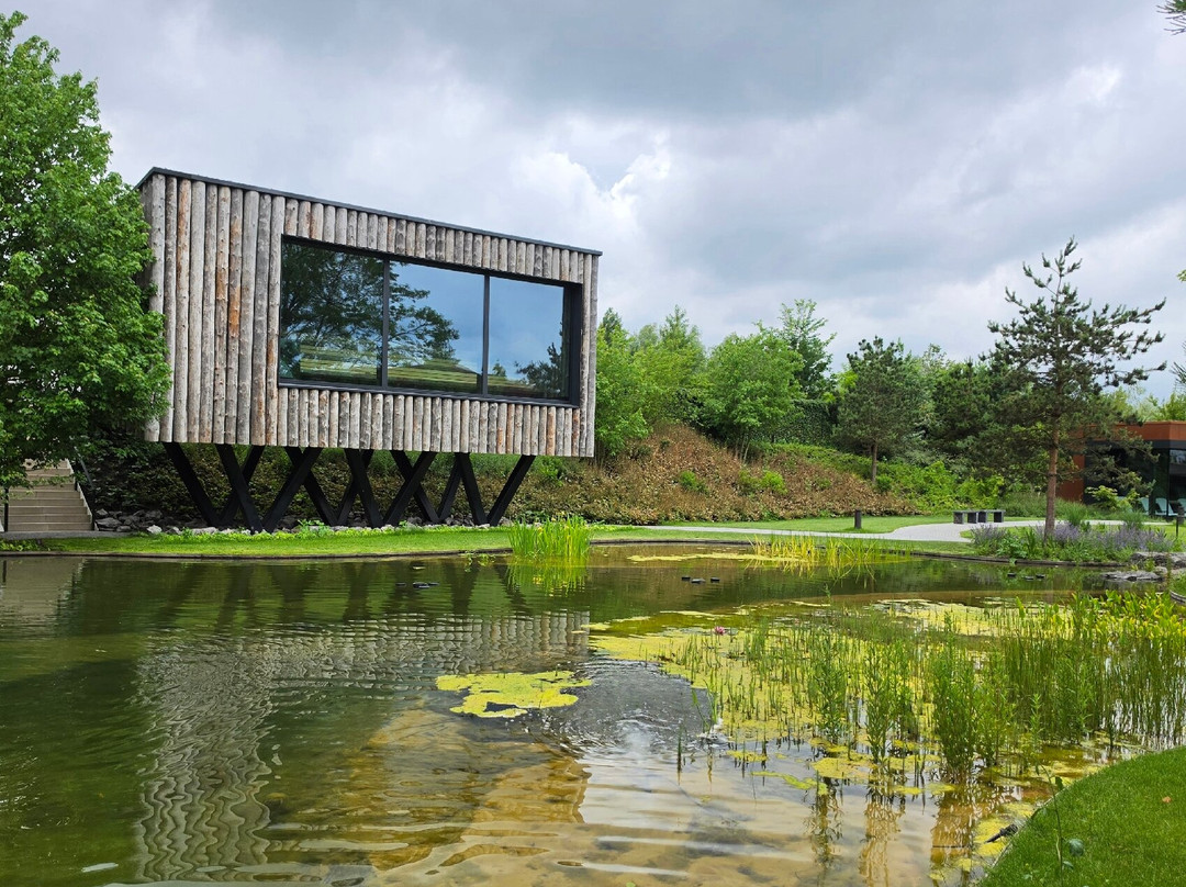 Sweet Lake wellness