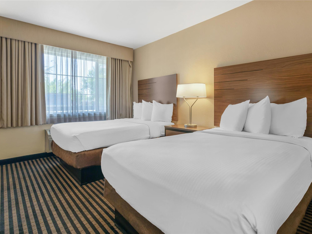 莫德斯托酒店住宿-Best Western Town House Lodge