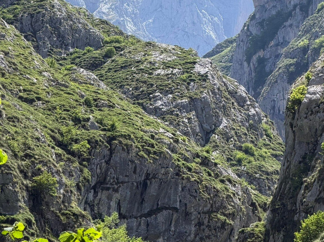 Funicular de Bulnes-Poncebos必去景点