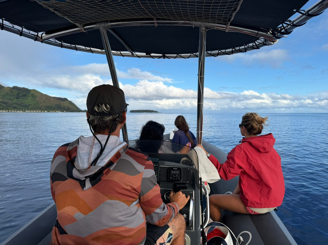 Moorea Ocean Adventures-莫雷阿岛必去景点