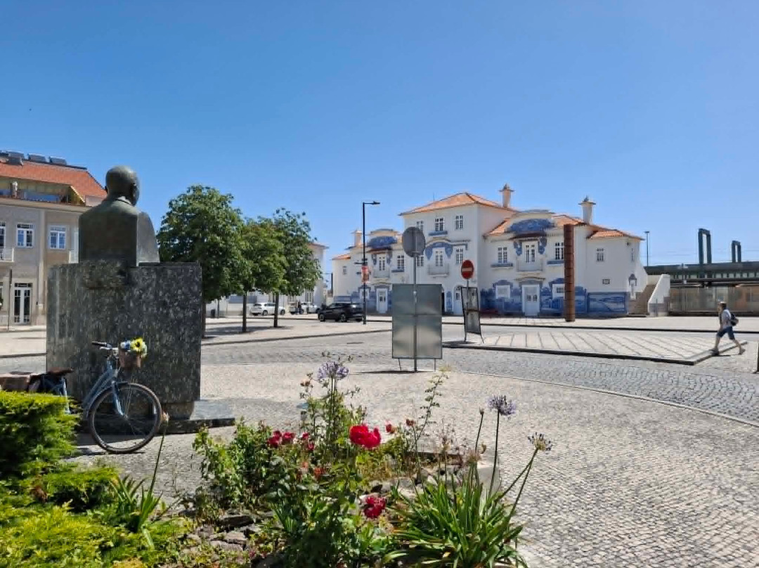 Monumento Busto a Dr Lourenco Simoes Peixinho-阿威罗必去景点