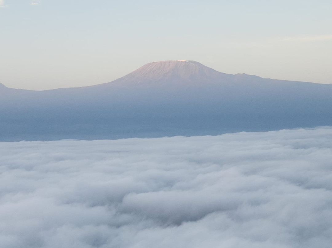 Kilimanjaro Balloon Safaris-安博塞利国家公园必去景点