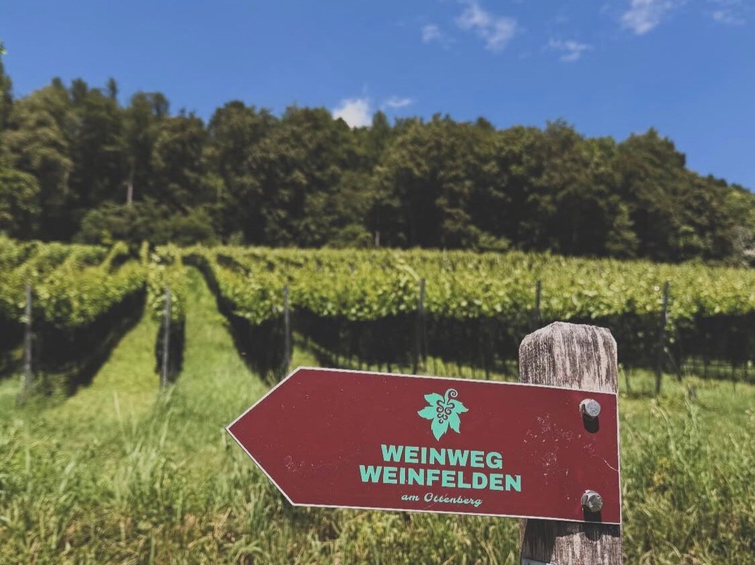 Wein-Wanderweg Weinfelden-Weinfelden必去景点
