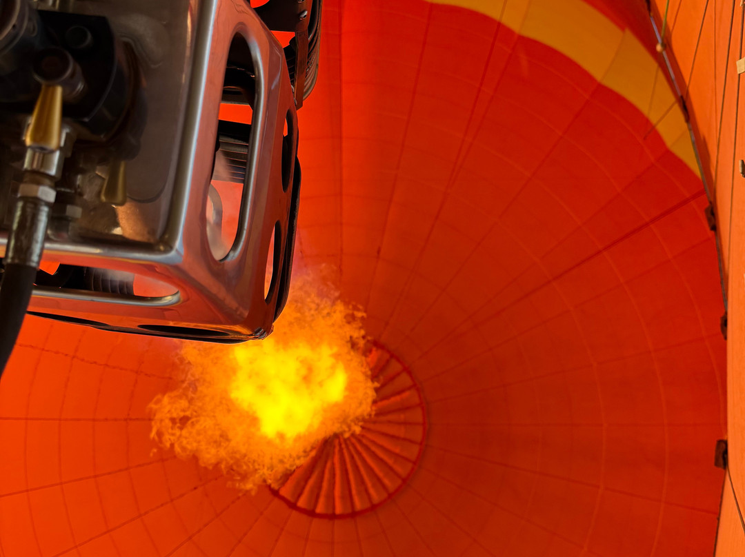 Balloon Safaris Ltd.-马赛马拉国家野生动物保护区必去景点