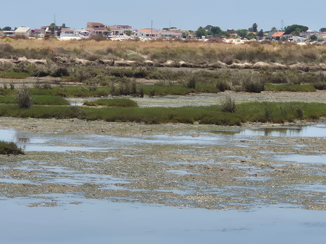 Ria Formosa Natural Park-奥良必去景点
