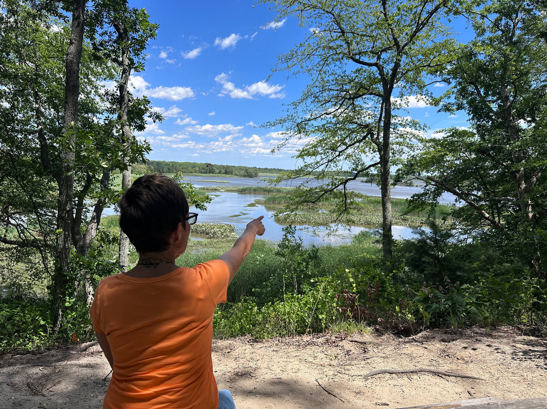 Maurice River Bluffs  Nature Preserve-Millville必去景点