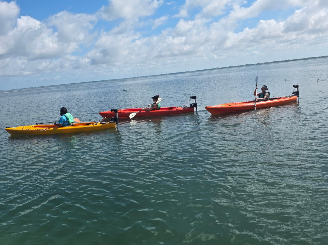 Sarasota Paddleboard Company-萨拉索塔必去景点
