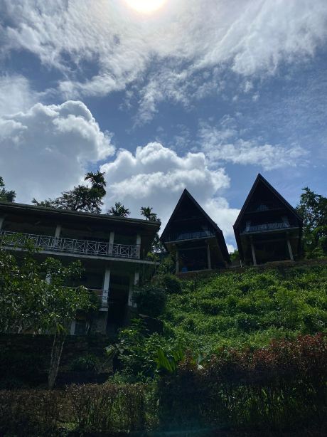 森林边缘酒店-旅行者
