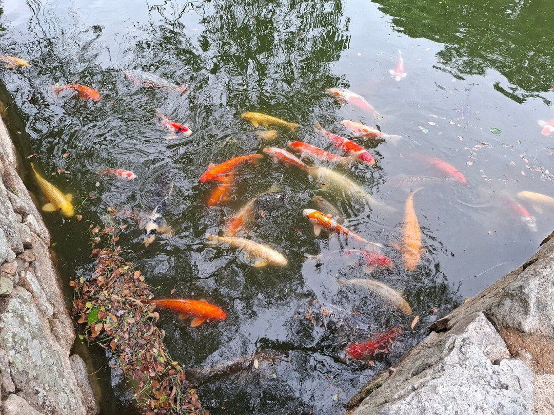 广岛城-广岛市必去景点