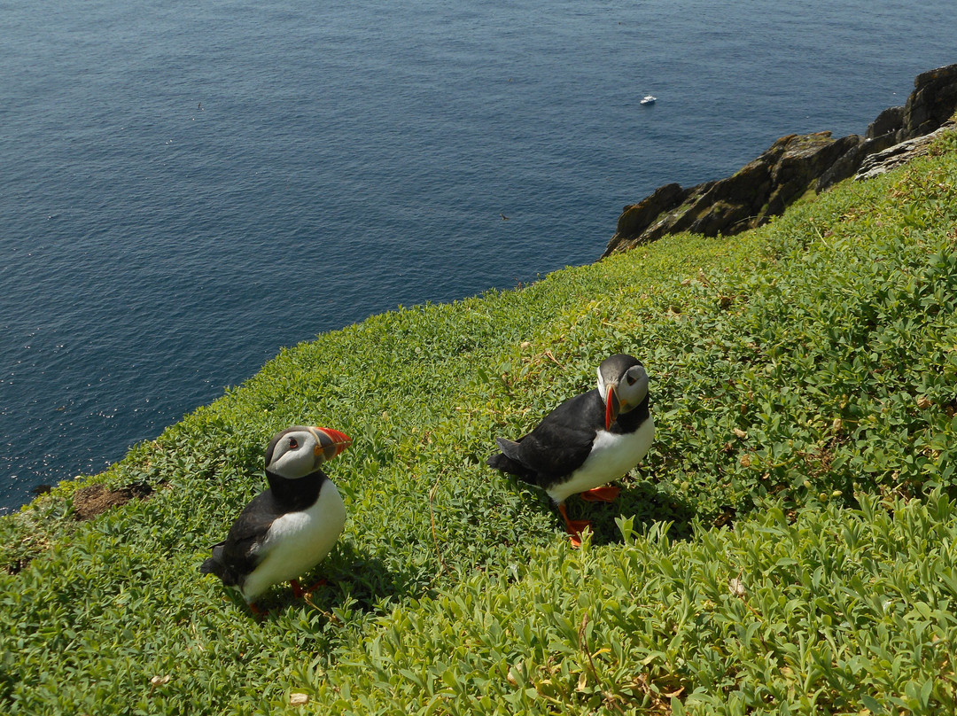 Skellig Tours-Caherdaniel必去景点