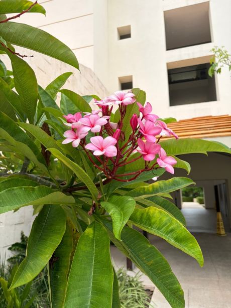 乌尼科玛雅河滨全包式住宿酒店 - 限成人-旅行者