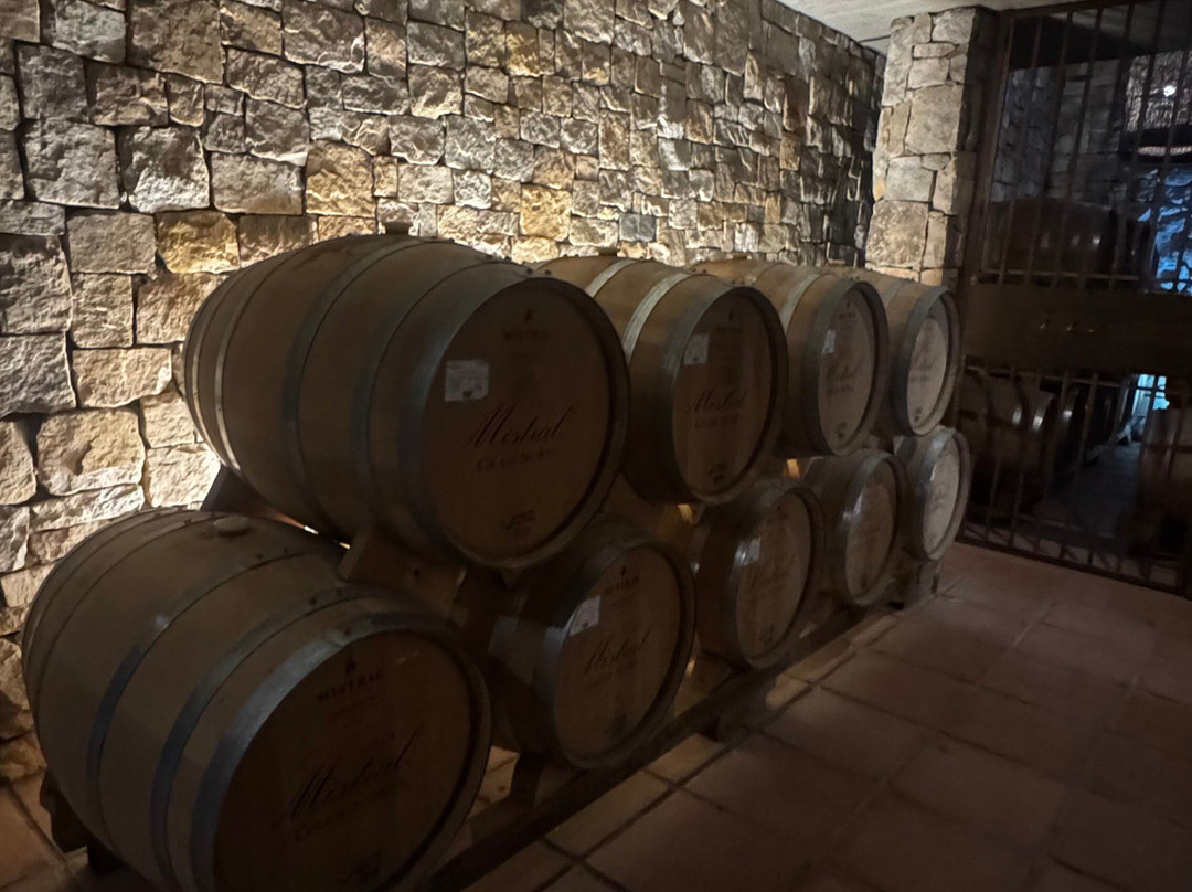 Destileria Pisco Mistral-Pisco Elqui必去景点