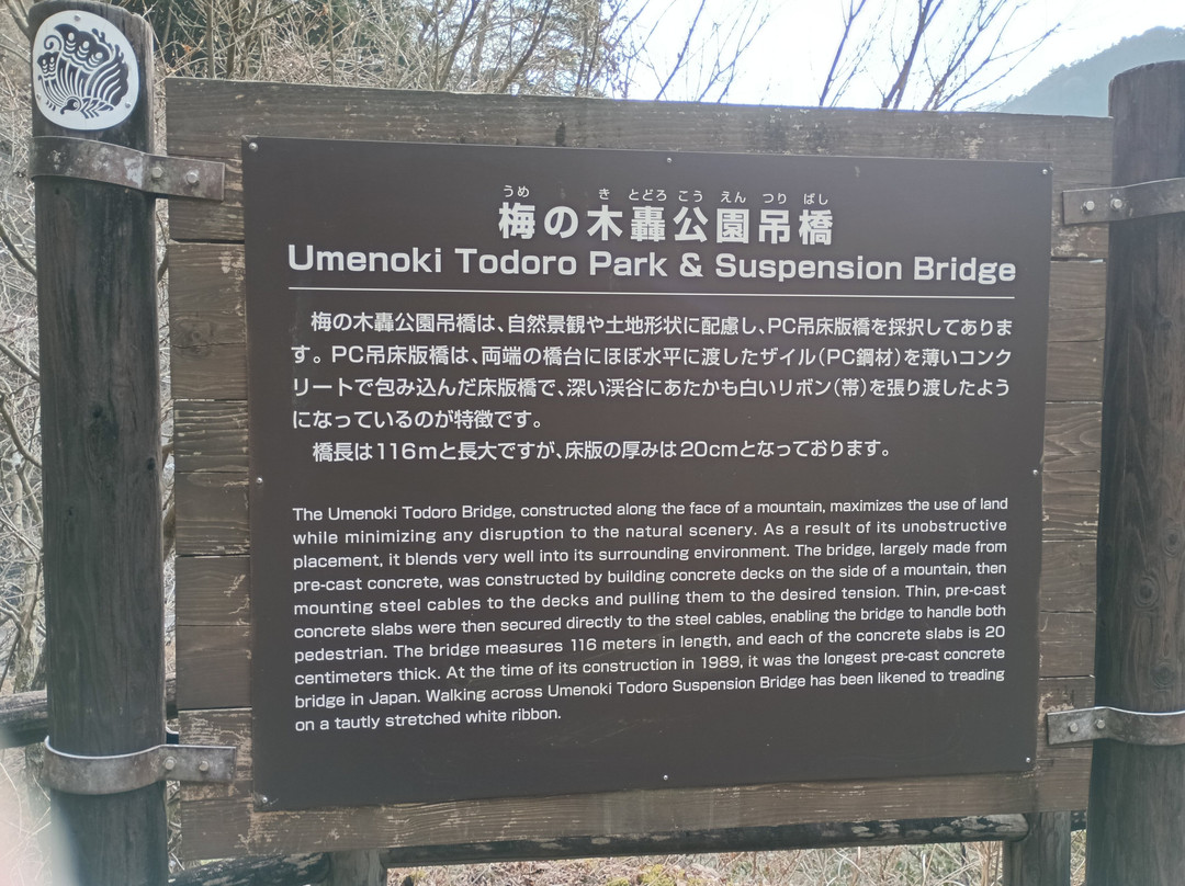 Supension Bridge, Umenoki Todoroki Park-八代市必去景点